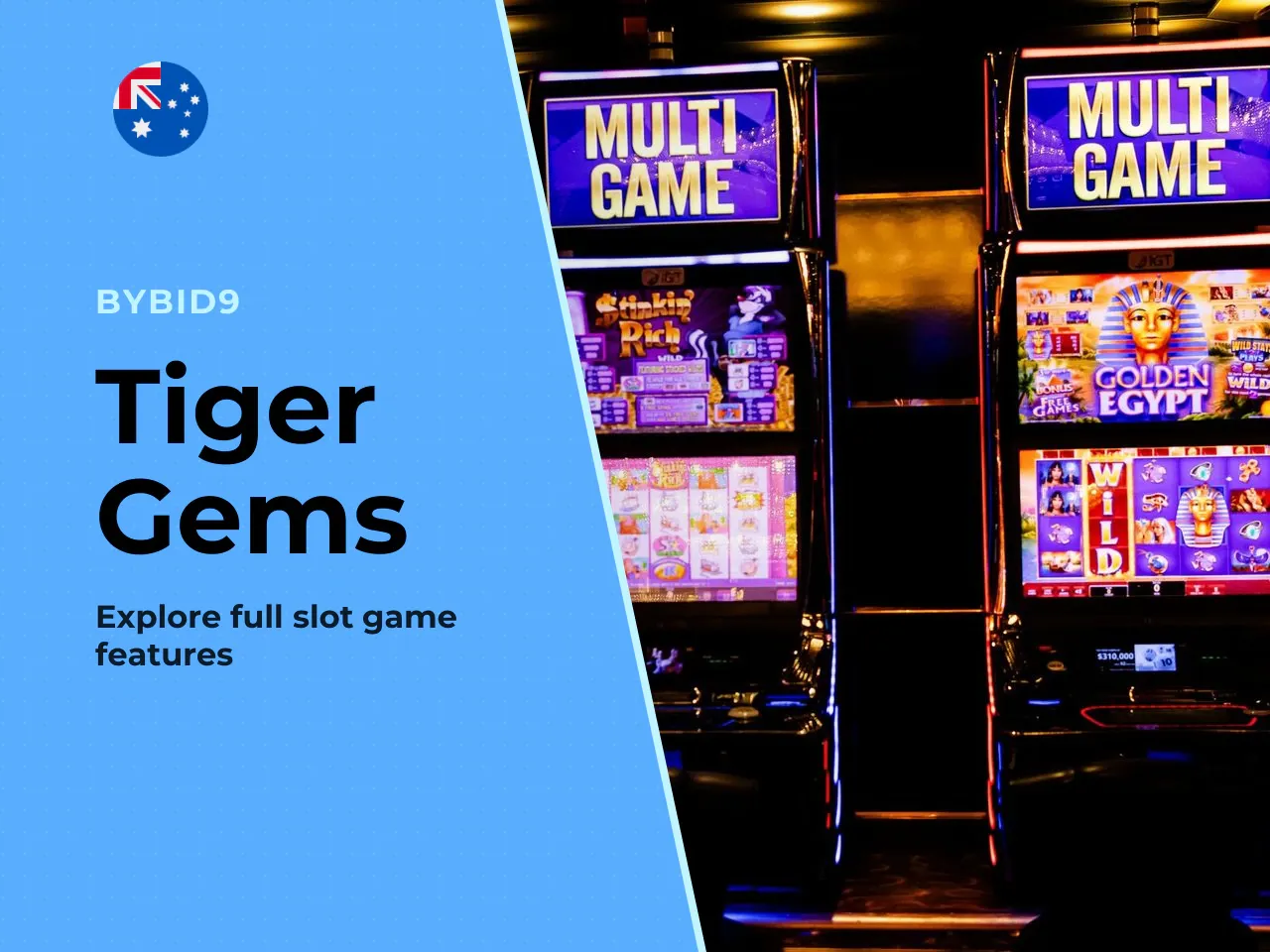 Tiger Gems Slot Game Overview and